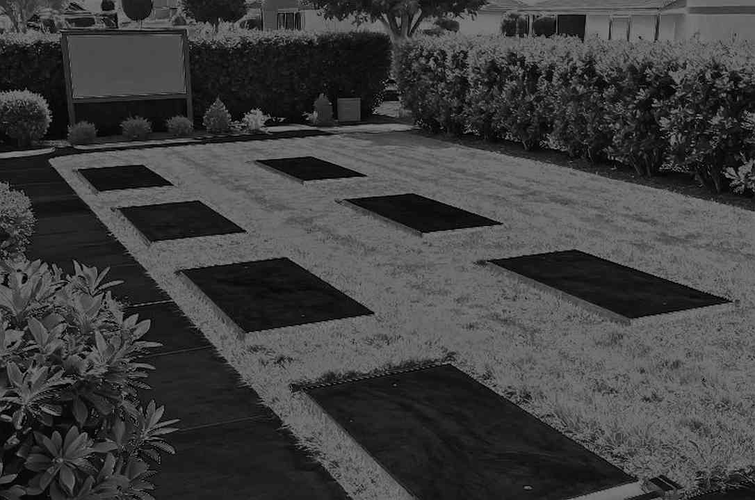 ১৪ রাউন্ডের ফাঁদ: ভিয়েতনামের লিগে 'অঘটন' আসলে ক্যালেন্ডারের হিসাব