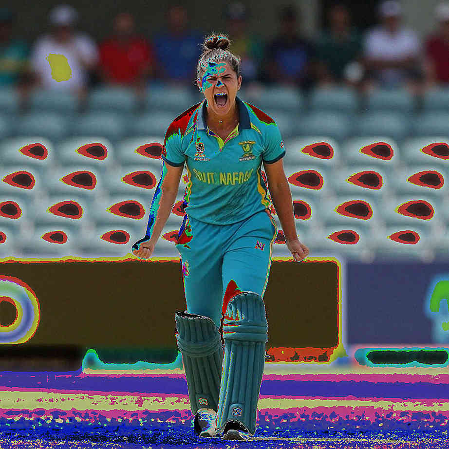 খালি কলামের ফাইনাল: বাংলাদেশের নারী ক্রিকেটের ইতিহাস কোথায় লেখা থাকে