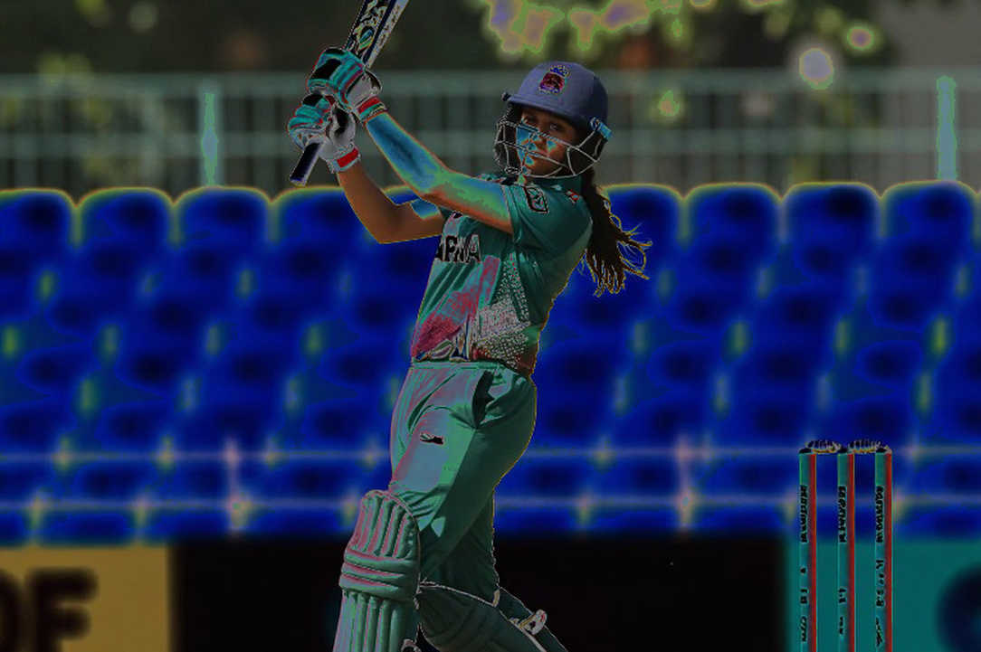 খালি ঘরের সততা: ক্রিকেট বিশ্লেষণে তথ্য-শৃঙ্খলার পাঠ